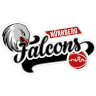 Nürnberg Falcons